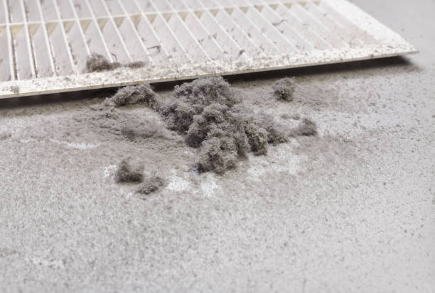 Best Local Air Duct Cleaning Services  in Sandy Hook, CT