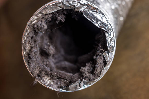 Best Air Duct Cleaning Near Me  in Sandy Hook, CT